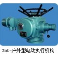 DZW60电动执行器，DZW60电动执行机构，DZW电动装置