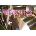 高耐磨铍铜板 C17200进口优质铍铜板 进口日本铍铜棒
