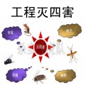 ｛环保无毒｝菜户营灭鼠 专业除鼠、灭蟑、灭蚂蚁杀虫公司