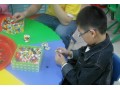 天津最容易赚钱的项目加盟-大树优教益智玩具万店连锁加盟