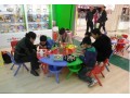 天津玩具店加盟赚钱热门项目-大树优教益智玩具万店连锁加盟