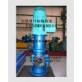 SNS210R46U12.1W2三螺杆泵 供油泵 冷却泵