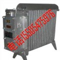 RB2000/127电热取暖器,矿用127V电暖器