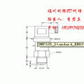 DMP304工业压力变送器超高压测量