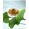 GMP 银杏叶提取物 Ginkgo biloba P.E.