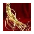 GMP 人参皂甙Ginseng Extract人参提取物