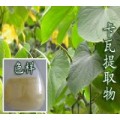 GMP 卡瓦内酯 卡瓦提取物 Kava Extract