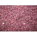 GMP 红曲米提取物 Red Yeast Rice P.E.