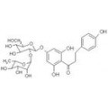 GMP 柚皮苷二氢查尔酮 高级糖精