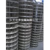 大丝电焊网卷-安平电焊网厂