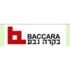 以色列BACCARA气动元件 BACCARA气缸