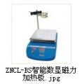 ZNCL-BS智能数显磁力加热板