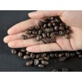 进口咖啡豆批发