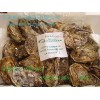 法国生蚝贝壳类海鲜