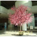 哪里有卖假桃树 北京假桃树价格13683512841