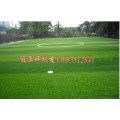 特价批发假草坪厂家 北京高仿真草坪价格13683512841