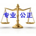 刑事案件律师上海刑事法律咨询