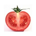 中国农产品交易网供应绿色优质西红柿