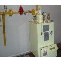 电热式气化器LPG水加热式气化炉/液化石油气气化炉