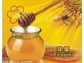 蜂蜜进口天津北京清关代理