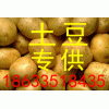 马铃薯价格|秦皇岛市马铃薯价格|马铃薯行情